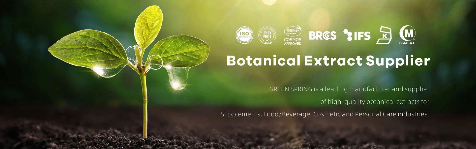 botanical extract suppliers