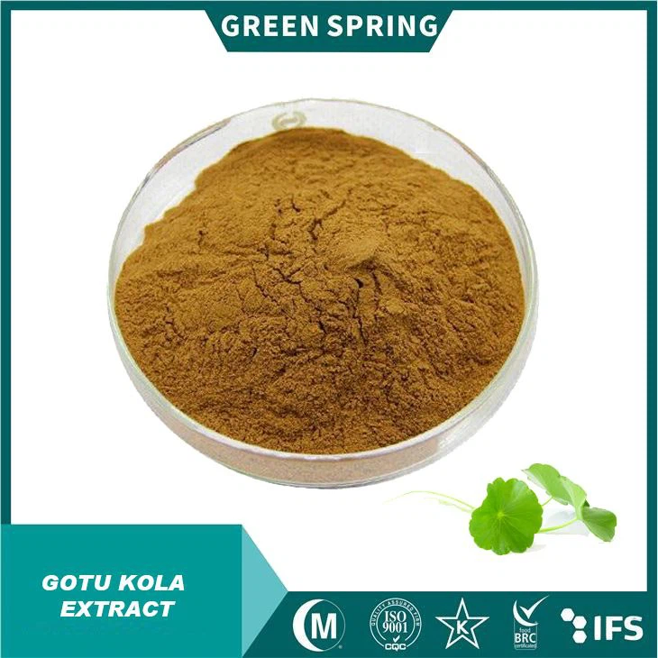 Premium Gotu Kola Εκχύλισμα σκόνη|10% -95% Ασιατικοσίδη & Τριτερπένια|Επούλωση πληγών & αντι-γήρανση|GMP, πιστοποιημένο ISO